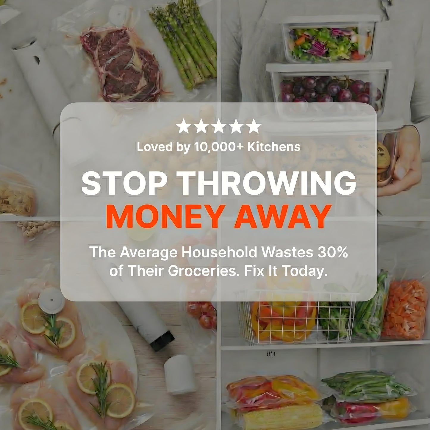 FreshVac⢠Wireless Sealer + 6 Heavy-Duty Vacuum Pouches + 30 Heavy-Duty Vacuum Pouches (Complete Bundle)